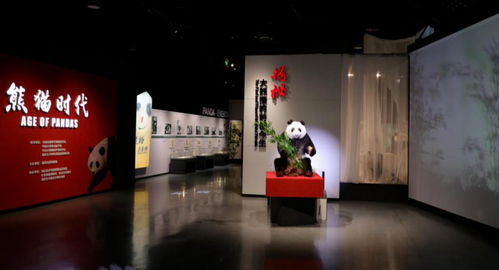 奧斯卡獎級別盛宴 十大精品陳列揭曉 數字創意展覽引領世界